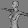 Female body 3D model