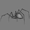 Low poly Spider 3D model